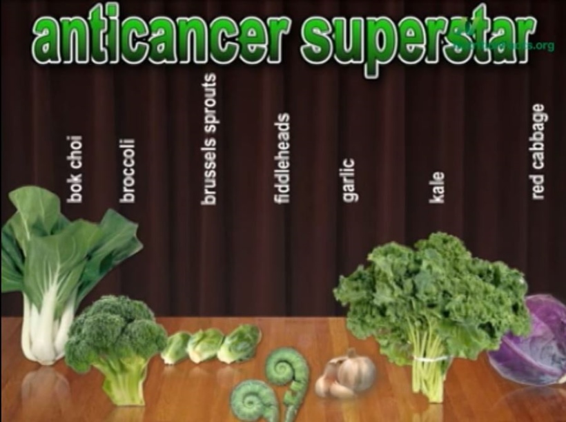 Which Foods Suppress Cancer Cell Growth Drcarney Com Blog Drcarney Com