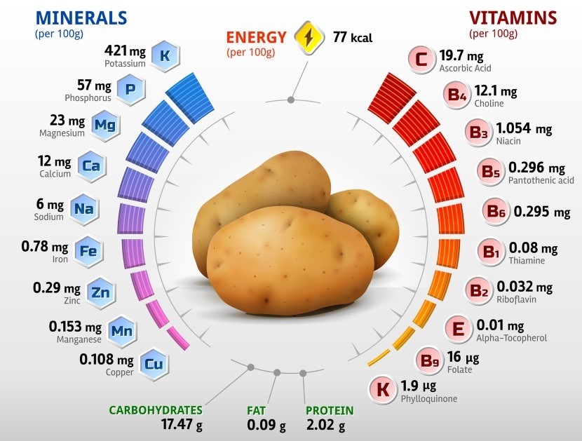 Eat Well – A Balanced Diet – Dietwise